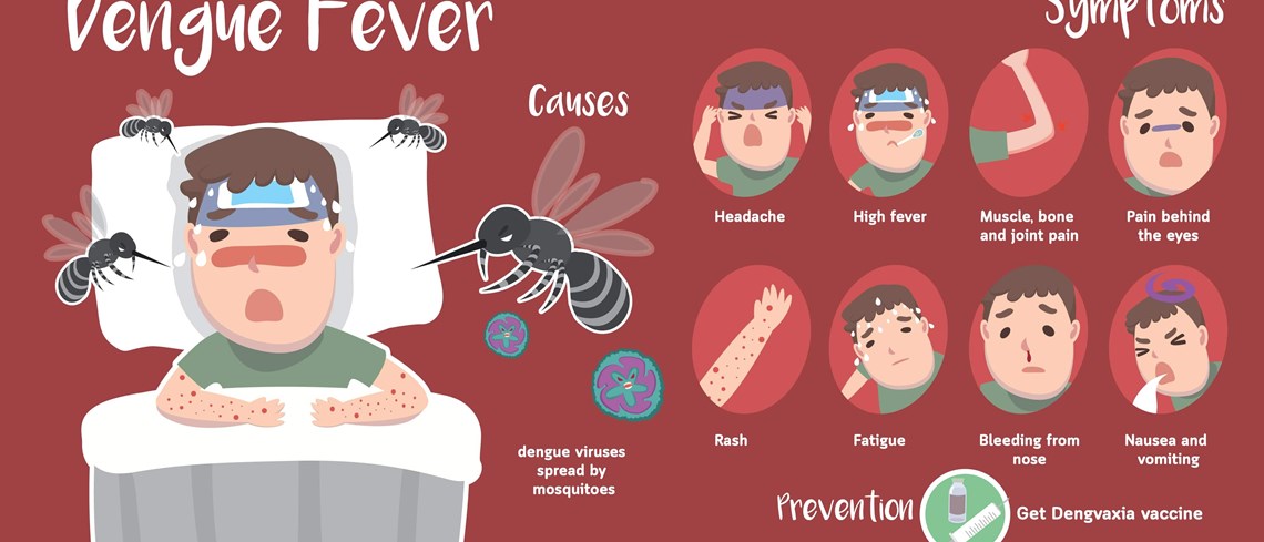 Ways To Protect Your Child From Dengue Fever 